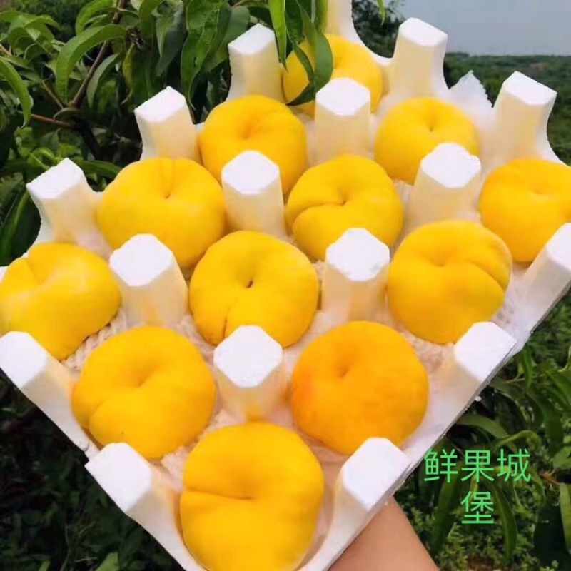 鲜果城堡精品蟠桃即将上市，支持一件代发。