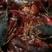 【热销中】小龙虾养殖基地肉肥腮白底板干净全国发货死亡包赔
