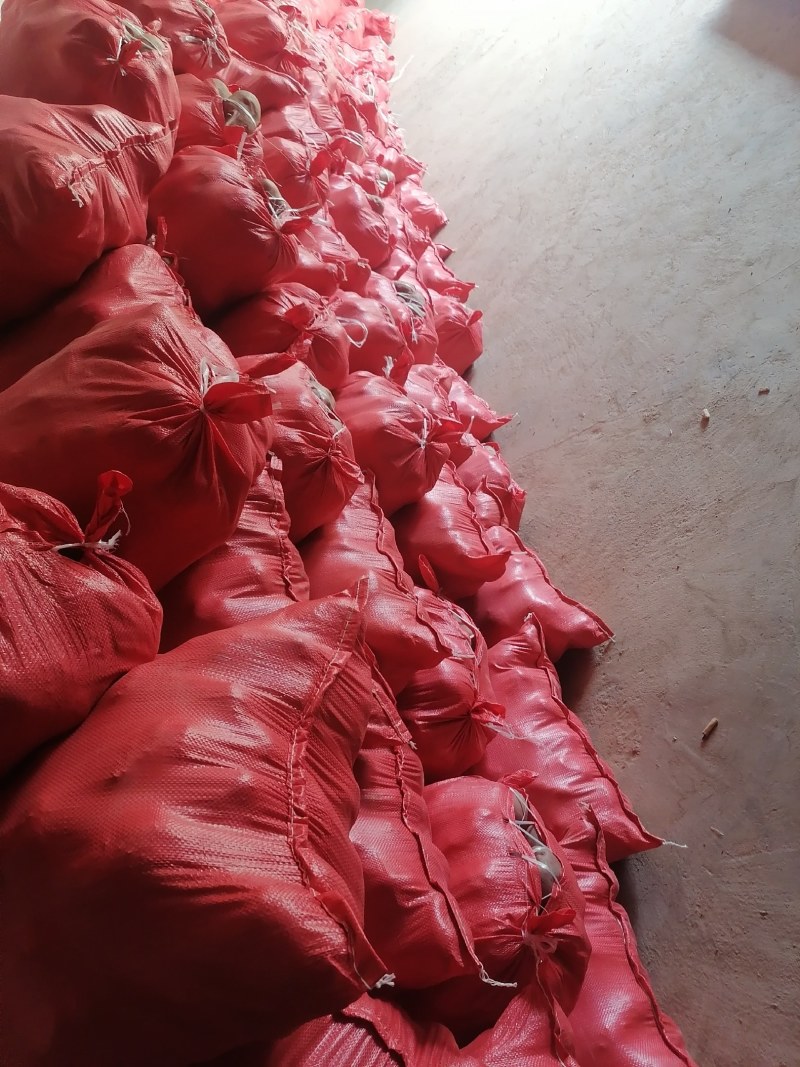 丽薯、马铃薯《精品土豆》产地直供，质量保障欢迎客商咨询订