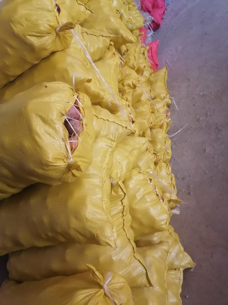 丽薯、马铃薯《精品土豆》产地直供，质量保障欢迎客商咨询订