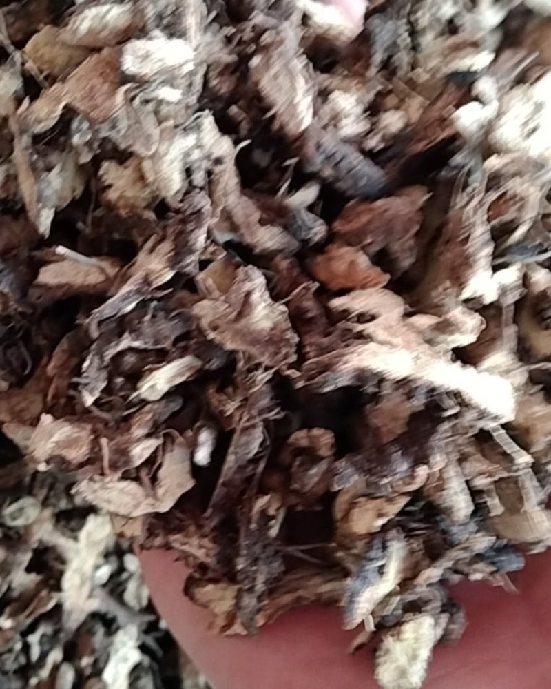 仙灵脾，常年批发供应各种规格仙灵脾中药，量大从优货真价实
