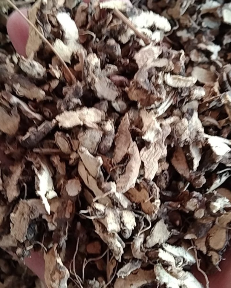 仙灵脾，常年批发供应各种规格仙灵脾中药，量大从优货真价实