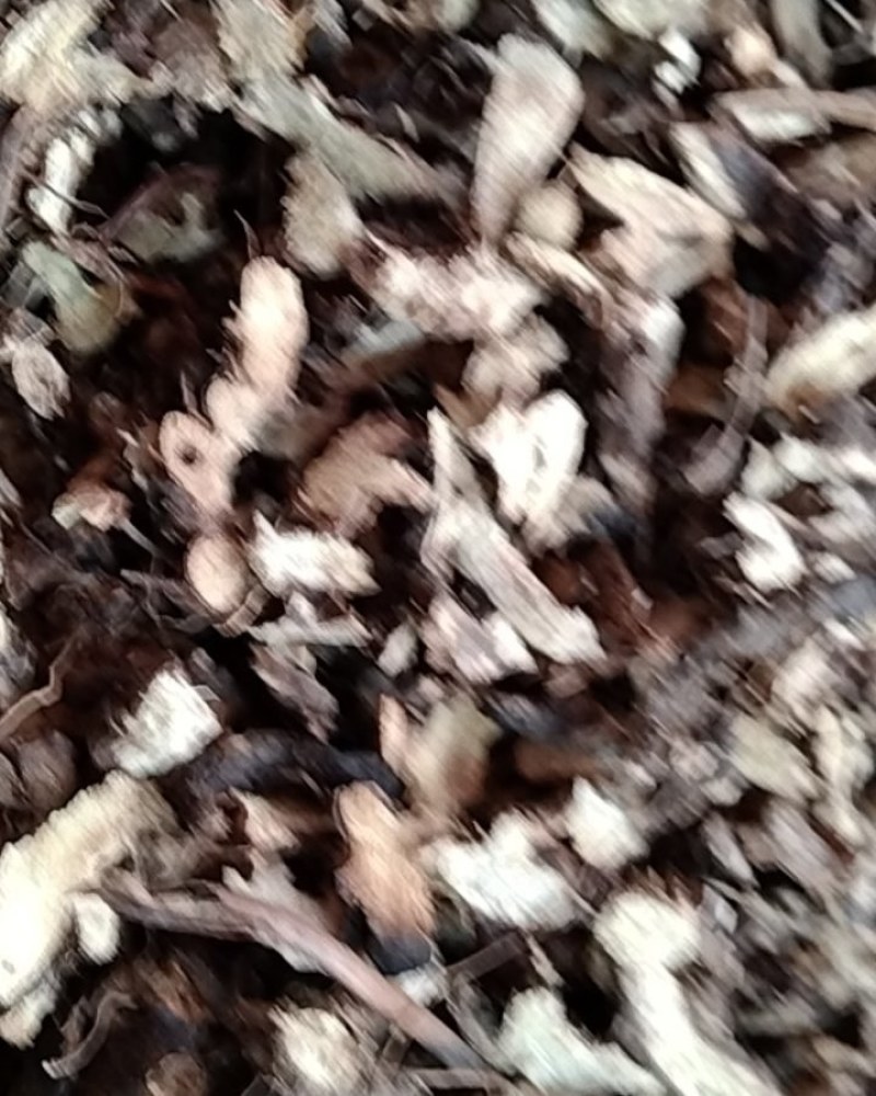 仙灵脾，常年批发供应各种规格仙灵脾中药，量大从优货真价实