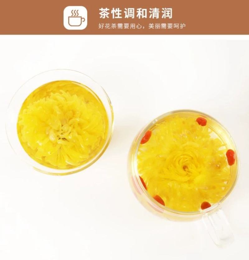 金丝皇菊花大朵黄菊花一杯一朵散装特级另售黄山贡菊花茶枸杞