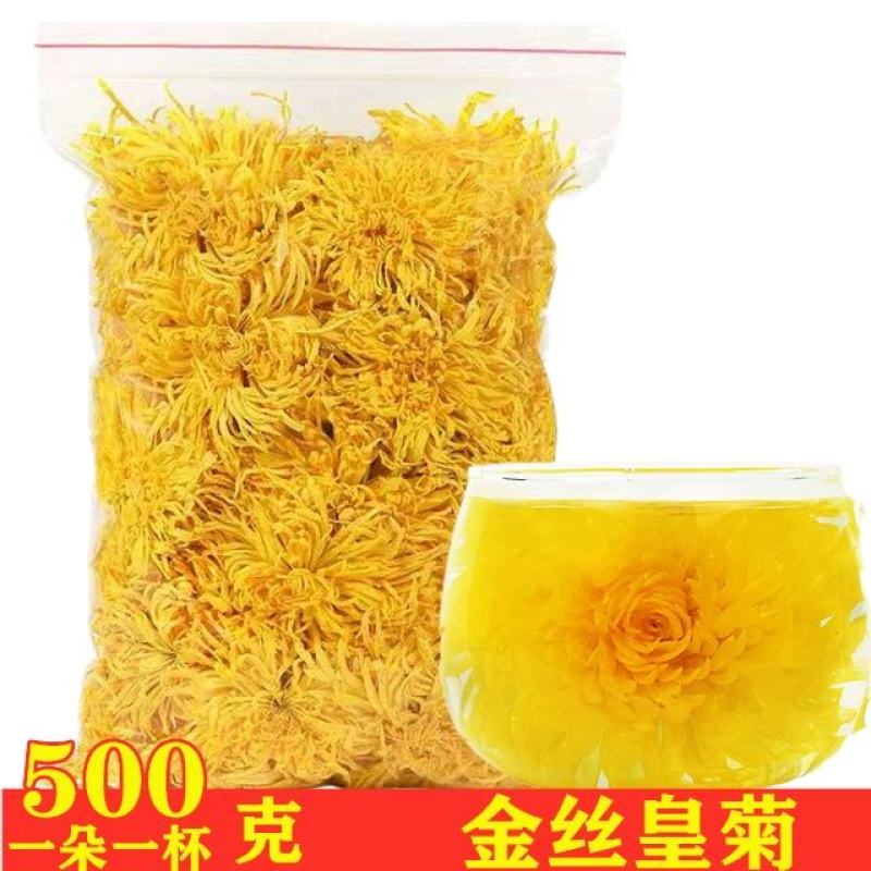 金丝皇菊花大朵黄菊花一杯一朵散装特级另售黄山贡菊花茶枸杞