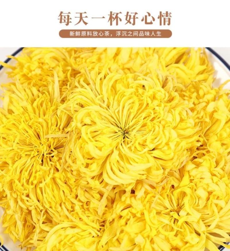 金丝皇菊花大朵黄菊花一杯一朵散装特级另售黄山贡菊花茶枸杞
