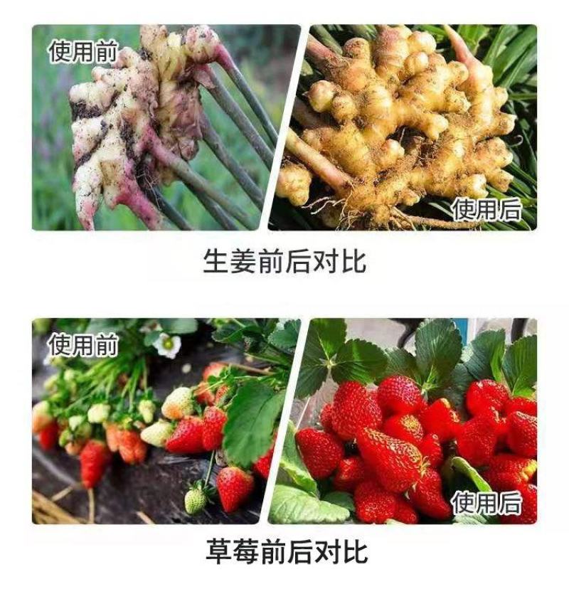 硼锌锰铁镁钙硅微量元素水溶肥保花保果防裂防畸