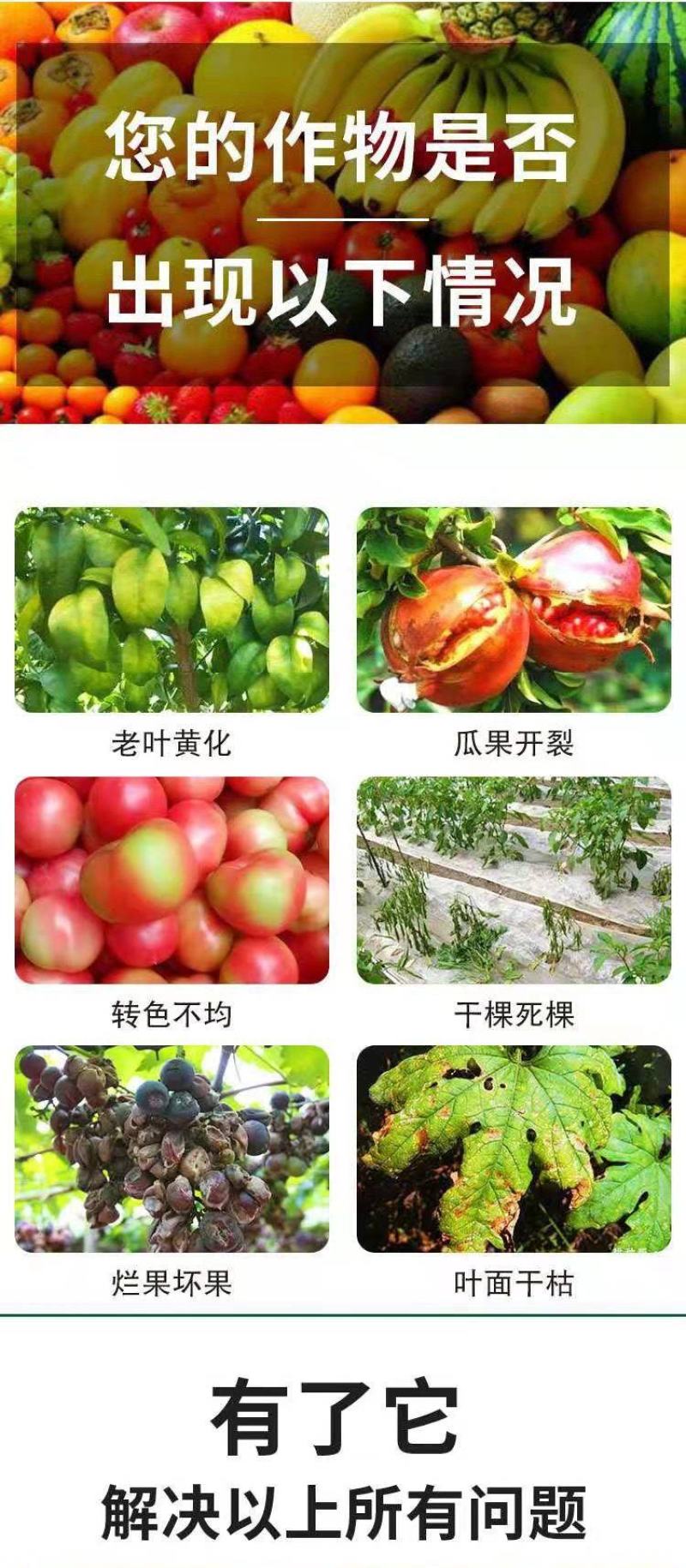 硼锌锰铁镁钙硅微量元素水溶肥保花保果防裂防畸