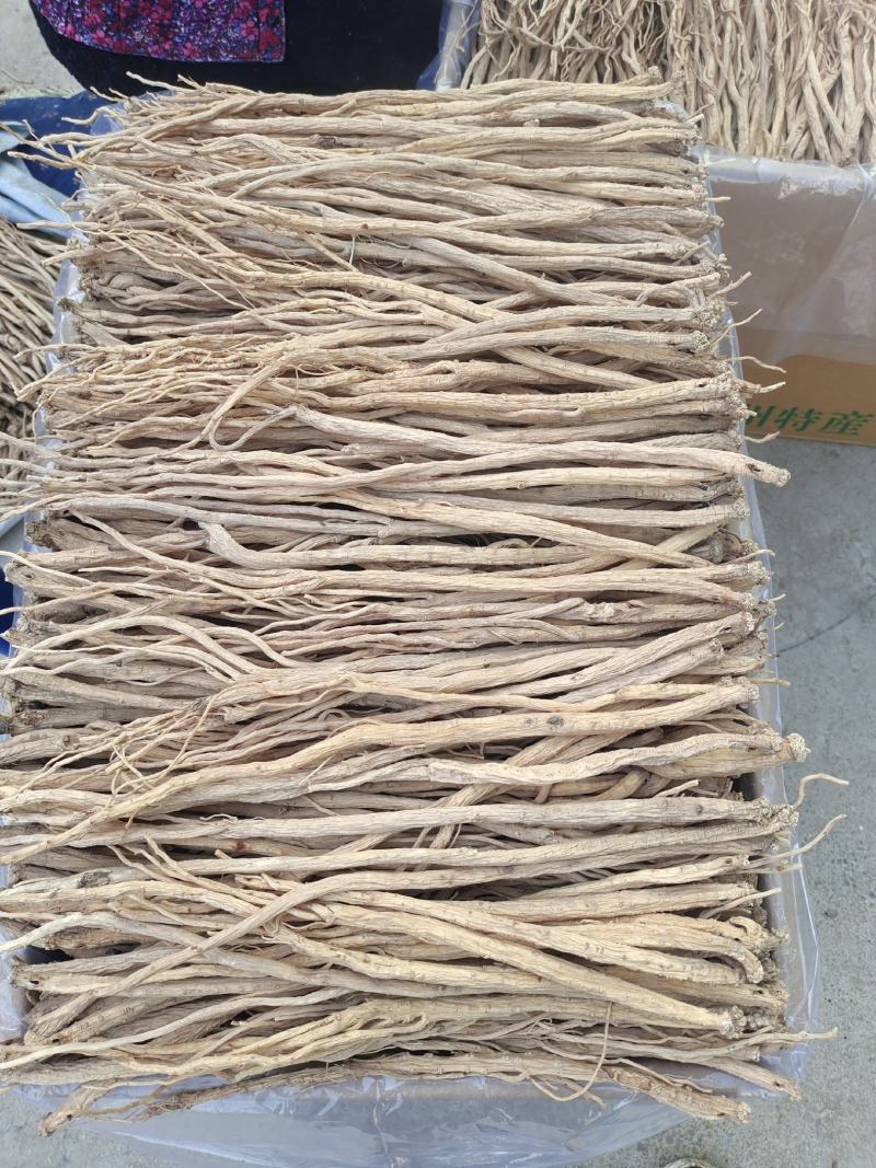 无硫党参全干货甘肃岷县白条党参产地直供质量保证