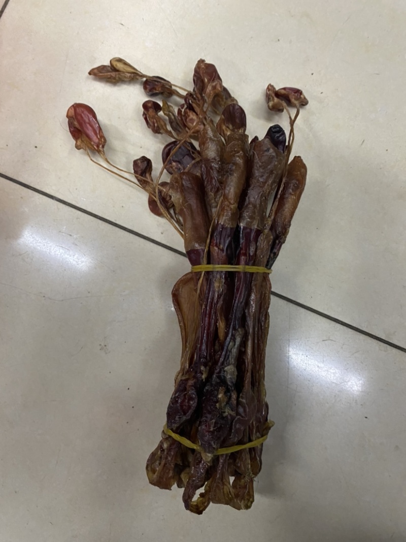 海狗鞭狗肾泡酒料各种规格欢迎采购一手货源包邮