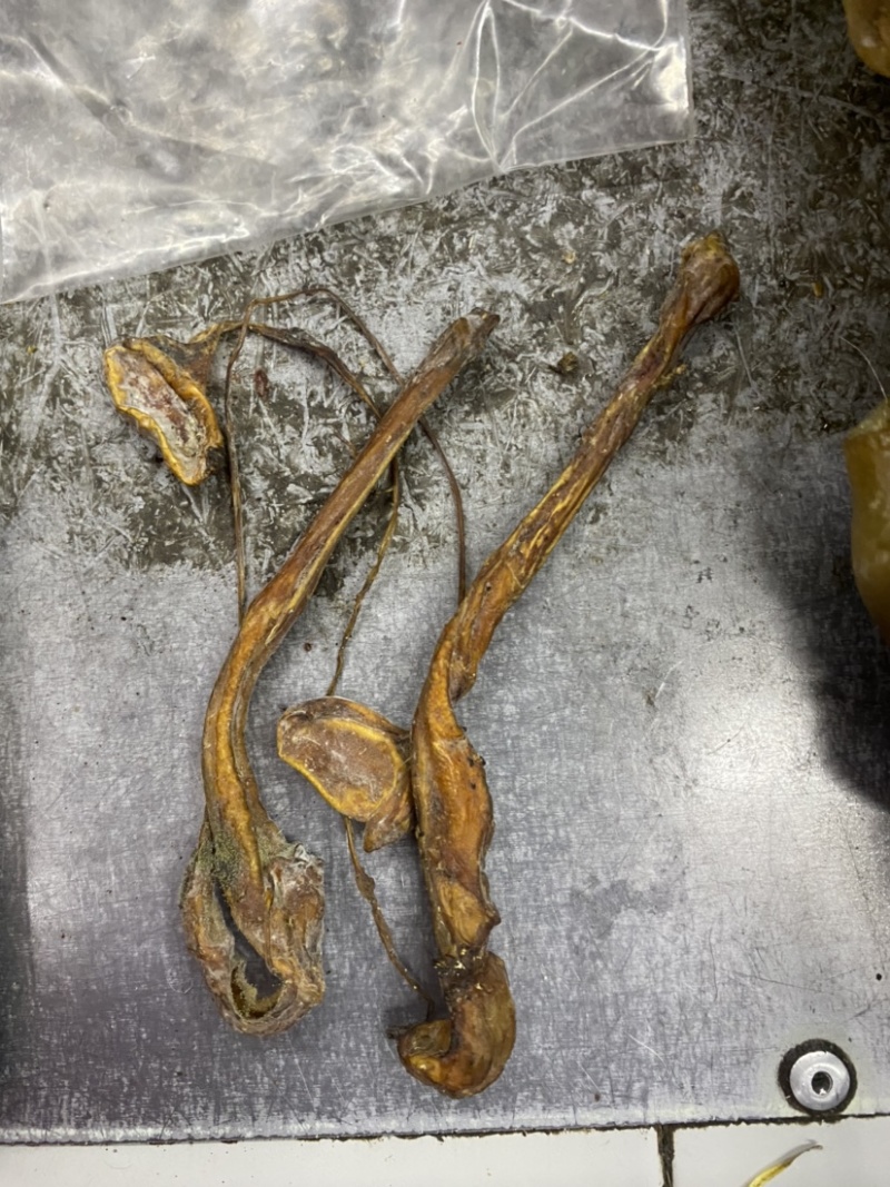 海狗鞭狗肾泡酒料各种规格欢迎采购一手货源包邮
