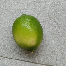 青柠檬