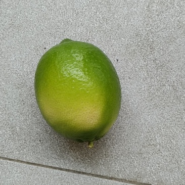 青柠檬
