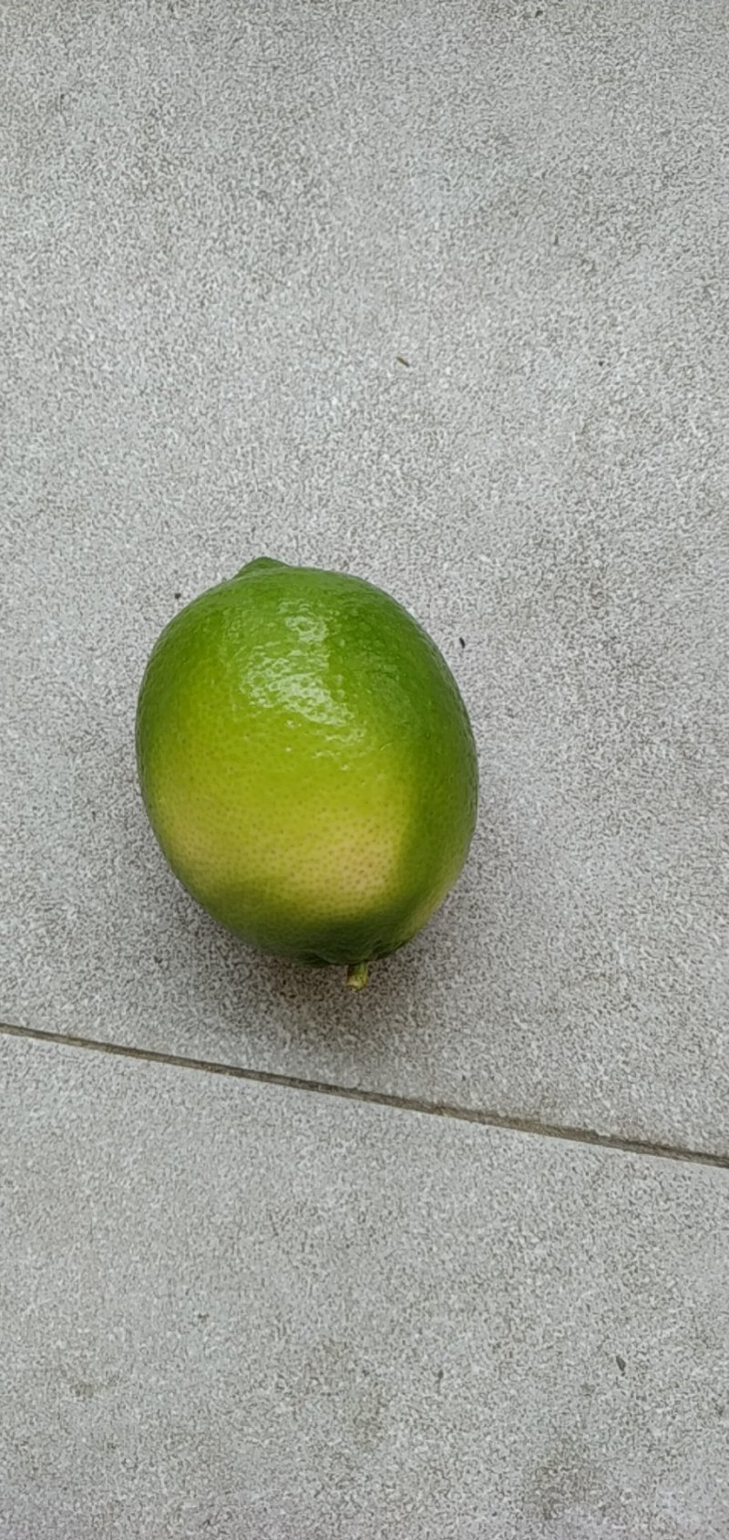 青柠檬