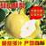 【润农果业】安徽砀山优质酥梨，口感脆、甜、多汁，老少皆宜
