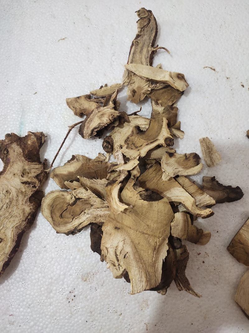 野生老桑头老树桑头根片中药材桑头根，货源充足