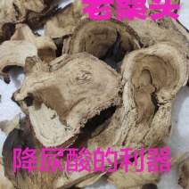 野生老桑头老树桑头根片中药材桑头根，货源充足