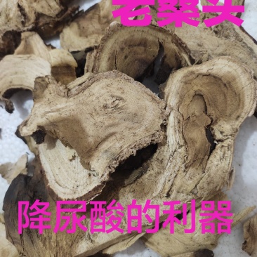野生老桑头老树桑头根片中药材桑头根，货源充足