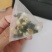 蜜桃乌龙茶白桃乌龙茶