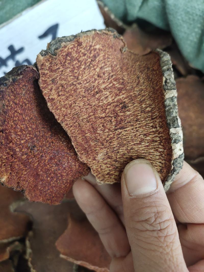 野生中药材红药子红药子片广西地产货，一手货源