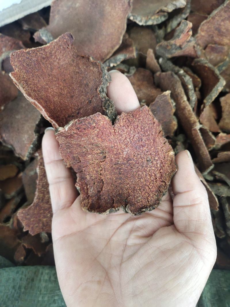 野生中药材红药子红药子片广西地产货，一手货源