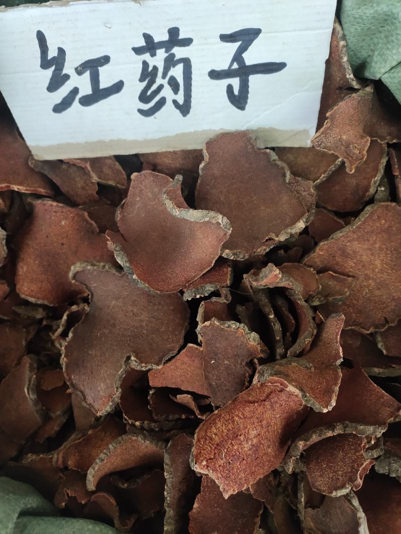 野生中药材红药子红药子片广西地产货，一手货源