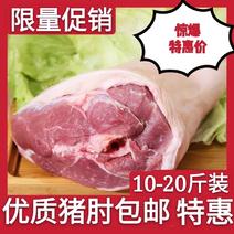 【包邮-20斤猪肘子】热销饭店专用10斤20斤生鲜猪肘子