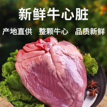 黄牛心牦牛心黄牛心脏生牛心生骨肉牛杂火锅食材牛心