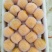 金太阳杏