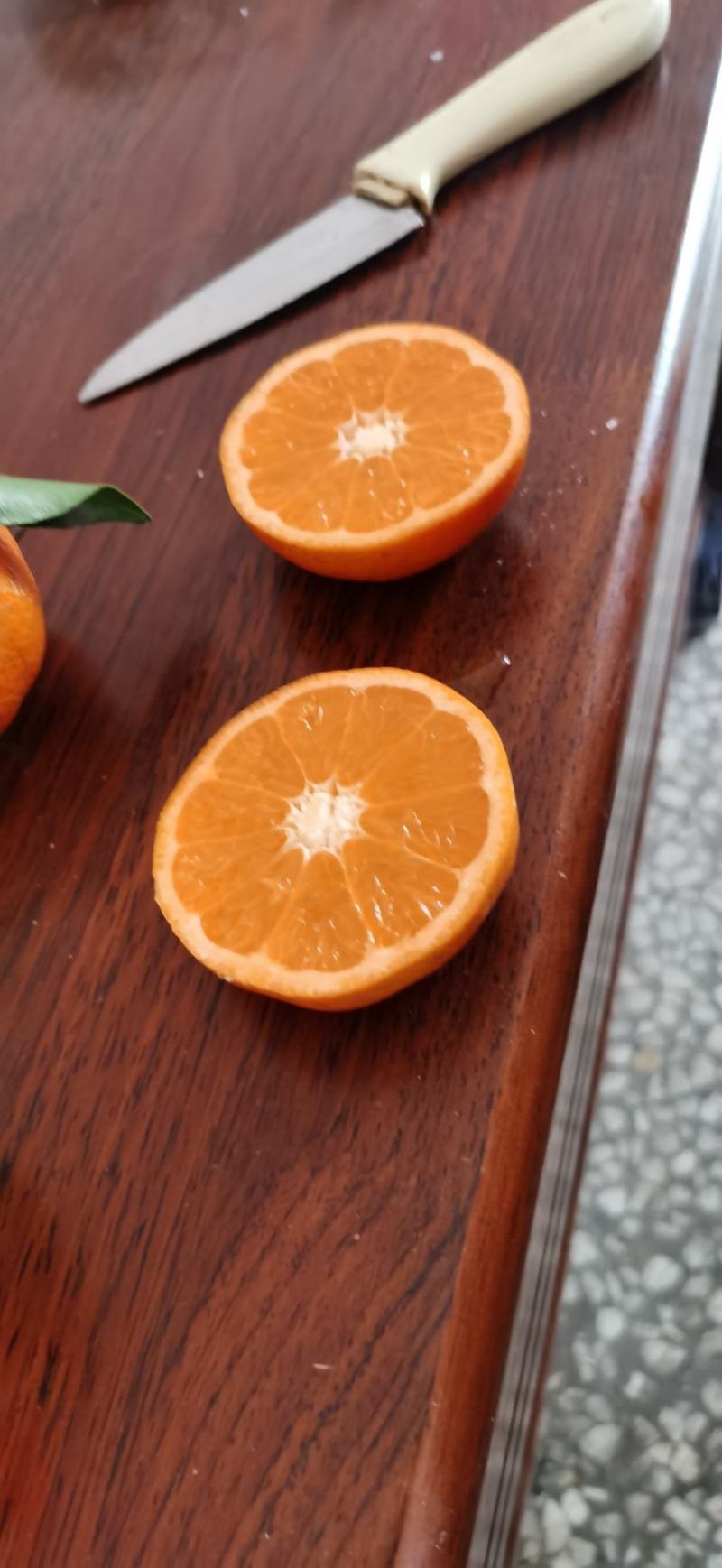 茂谷柑又大又甜，保质保量，欢迎咨询订购