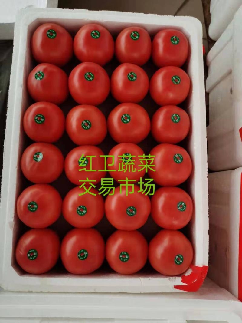 河北邯郸王红卫蔬菜代收主营硬粉西红柿超市电商批发商会