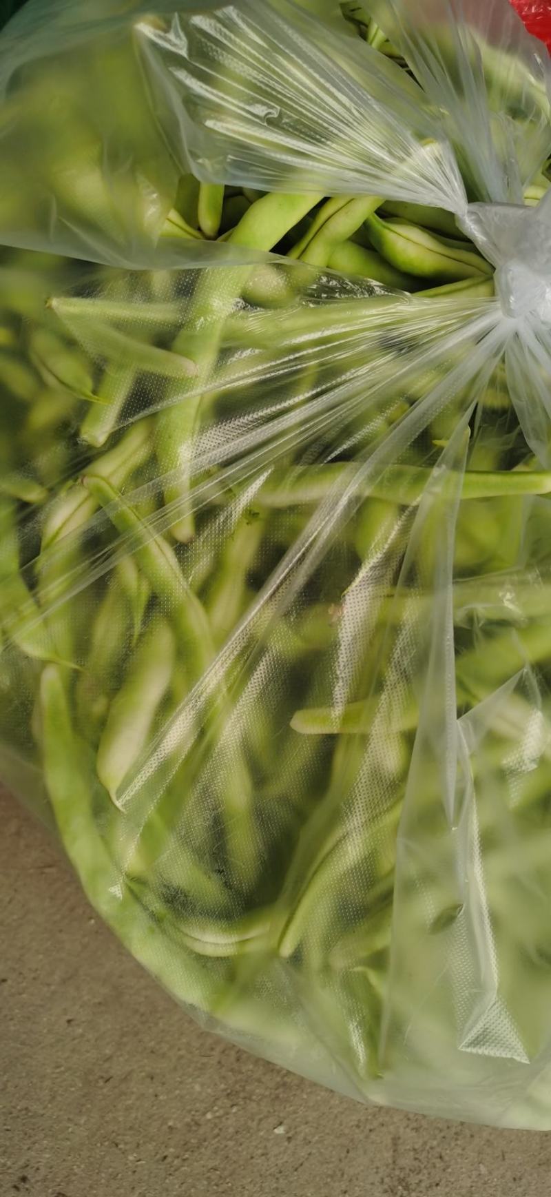 大量供应芸豆
