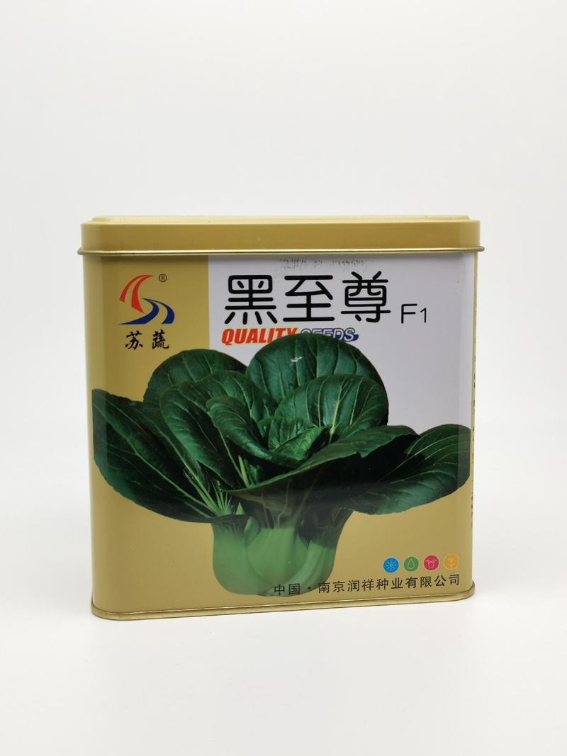 苏州青青菜种子400克罐装现货包邮支持线上交易