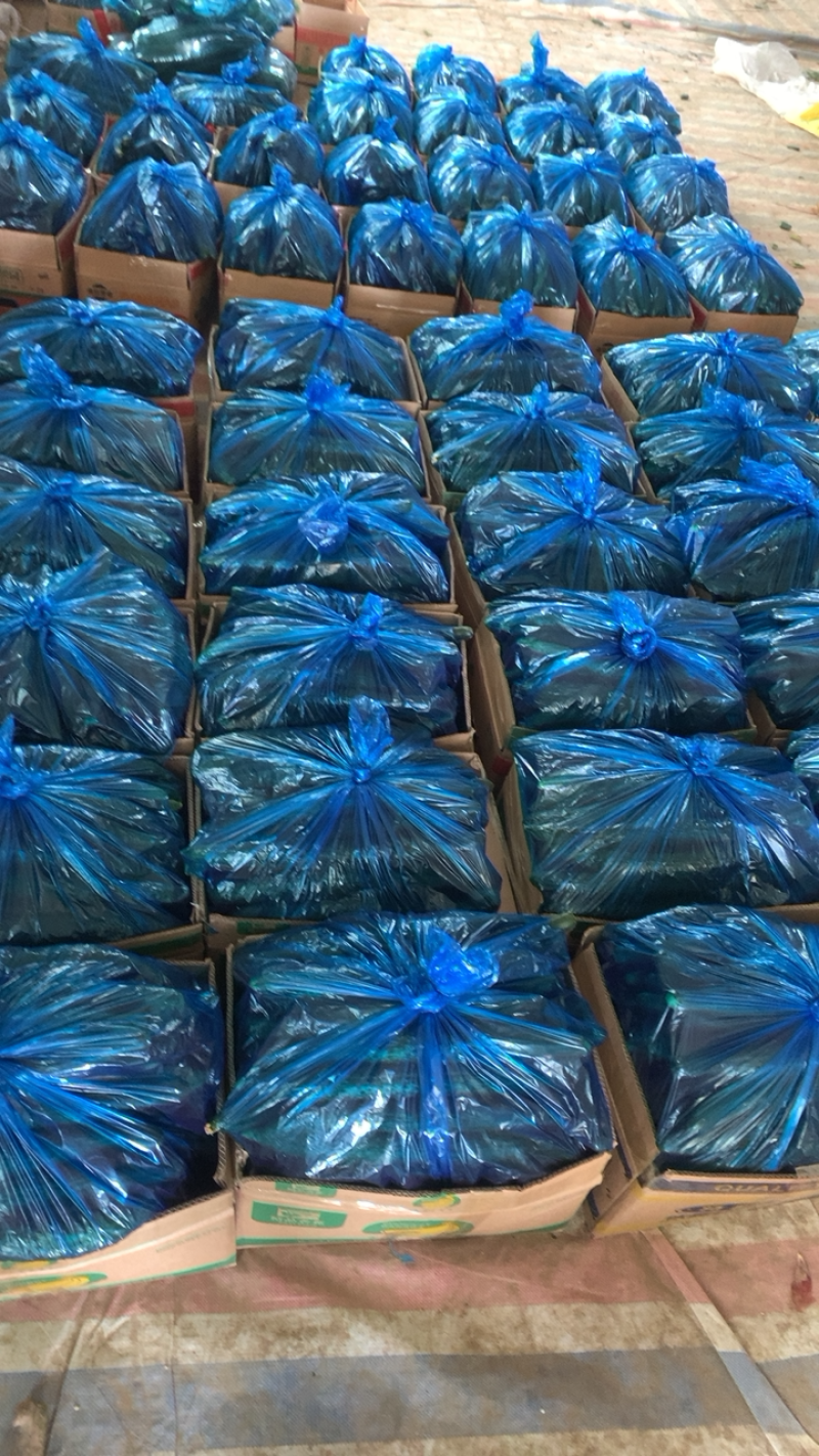 （黄瓜）电商.加工厂.市场.超市.常年大吨位供应