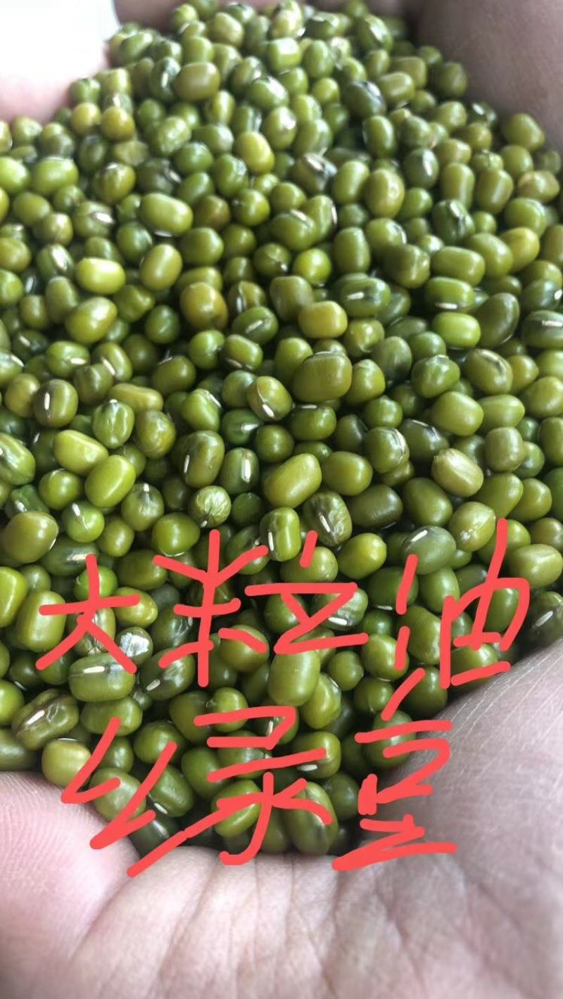 缅甸进口生态绿豆,量大从优，长期供应