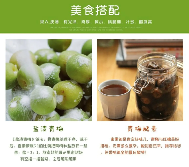 广东潮州青梅已上市需要的老板联系，专业代办代销