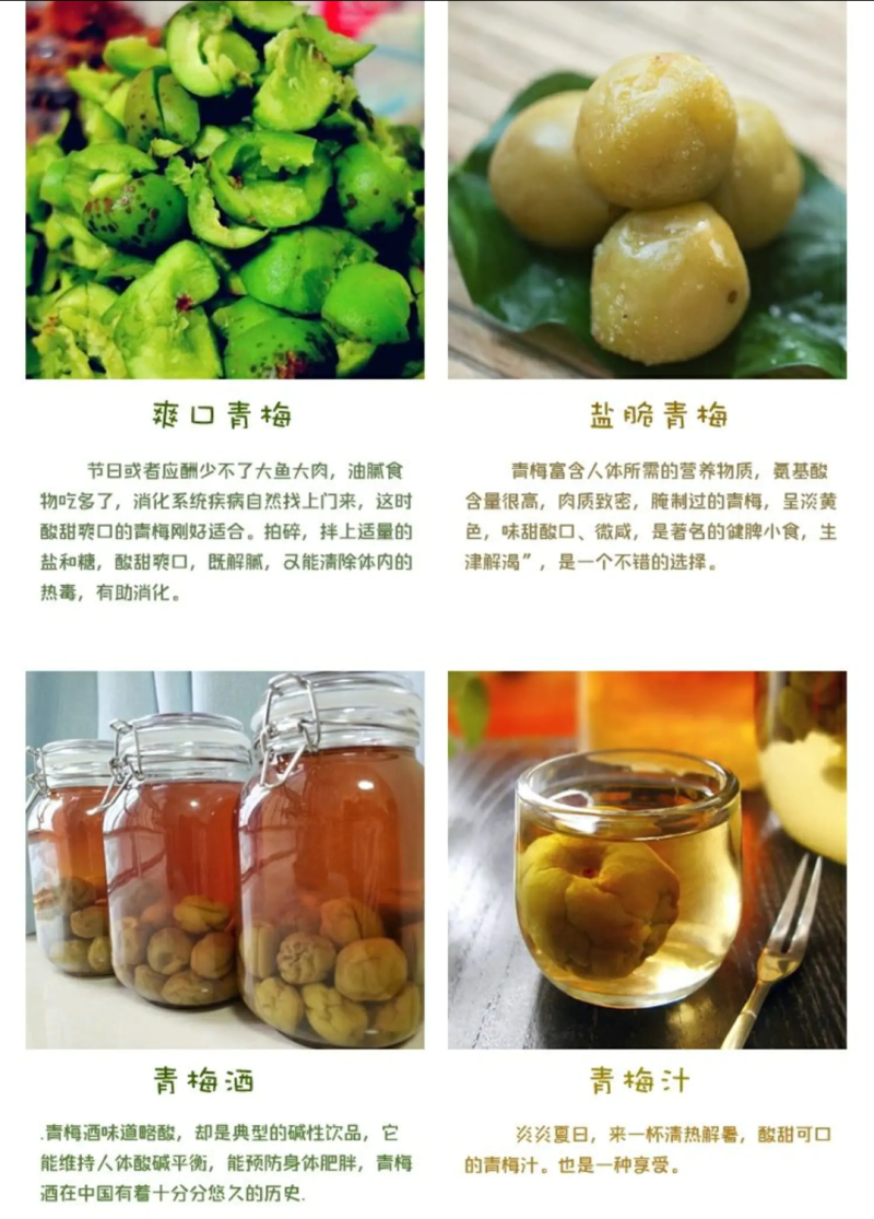 广东潮州青梅已上市需要的老板联系，专业代办代销