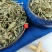云南野生中药材扁蓄萹蓄草牛鞭草牛筋草猪牙草包邮
