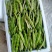 山东省单县油豆，紫花油豆，大量供应，代发全国