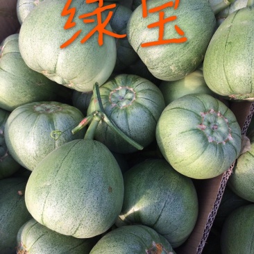 博洋系列