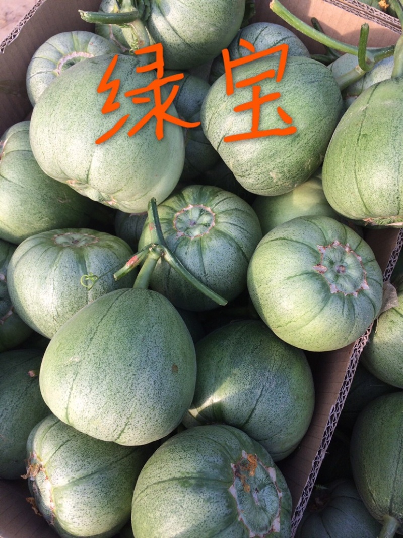 博洋系列