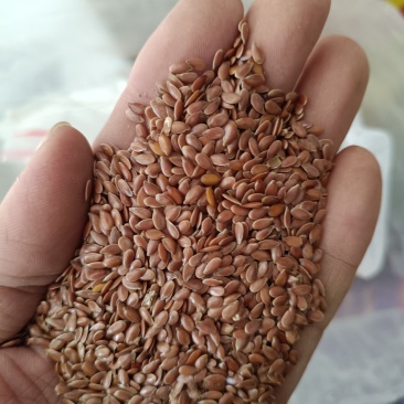 亚麻籽！棕色亚麻籽！所有商品不包邮货物需要自提