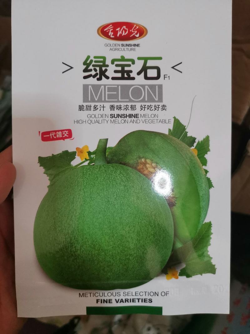 【优质】绿宝甜瓜种子脆甜多汁香味浓郁好吃好卖