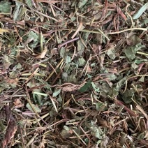 蛇莓【包邮】三斤起发货可批量可零售量大从优