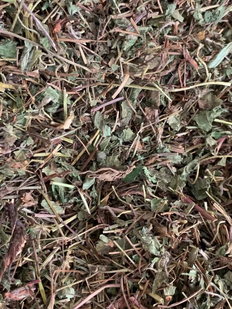 蛇莓【包邮】三斤起发货可批量可零售量大从优