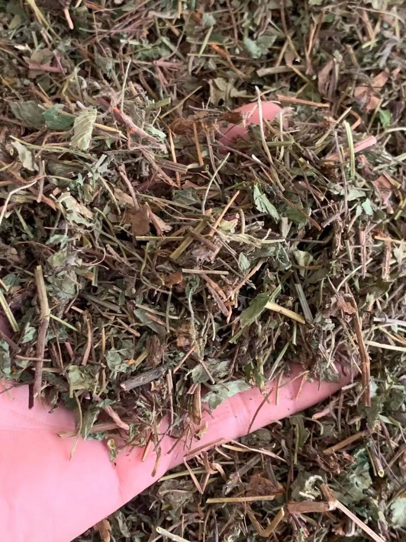 蛇莓【包邮】三斤起发货可批量可零售量大从优