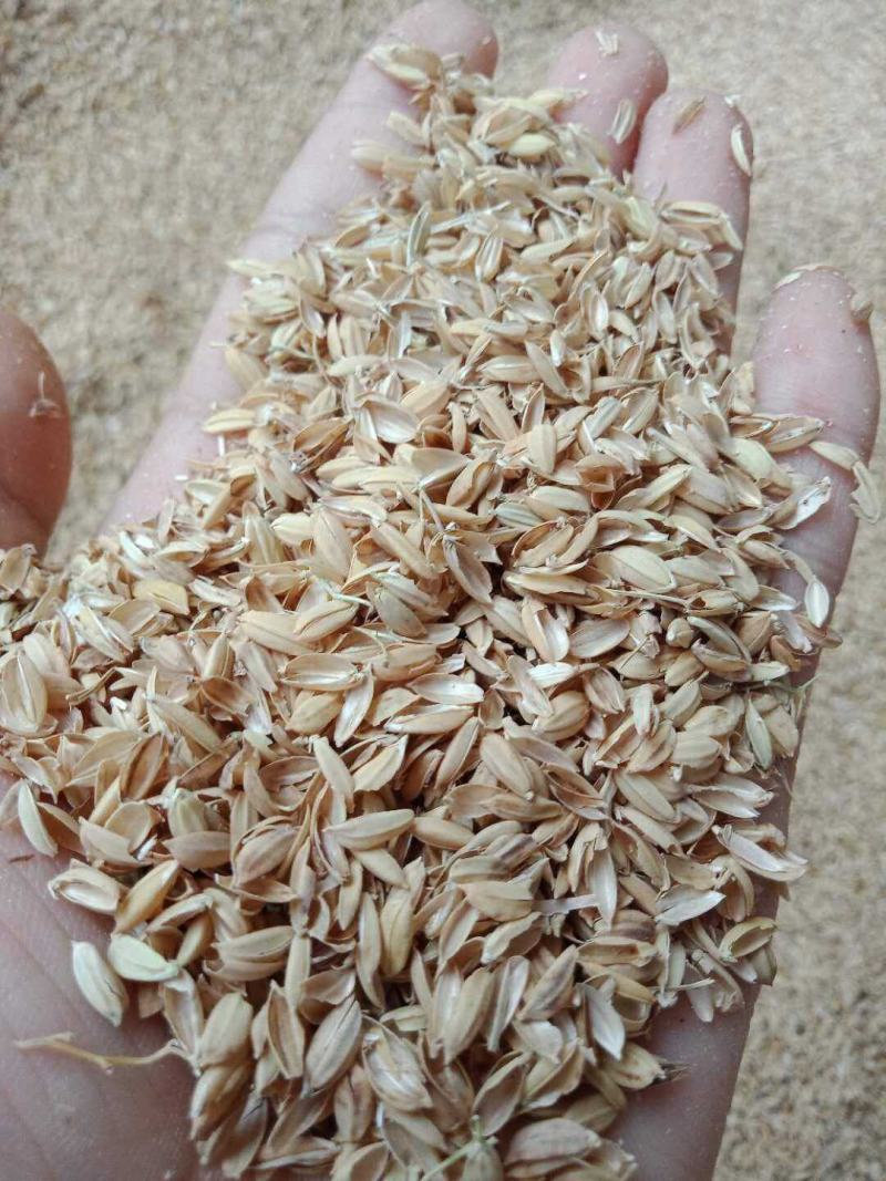 常年供应压缩稻壳，圆壳长壳