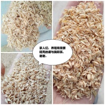 常年供应压缩稻壳，圆壳长壳
