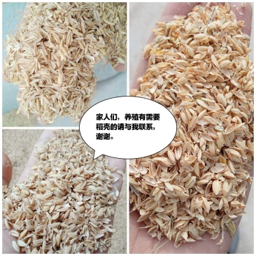 常年供应压缩稻壳，圆壳长壳