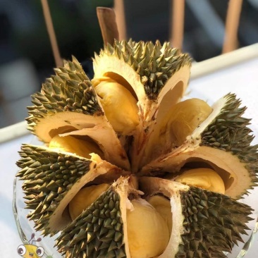 泰国果园榴莲，顺丰包邮到家